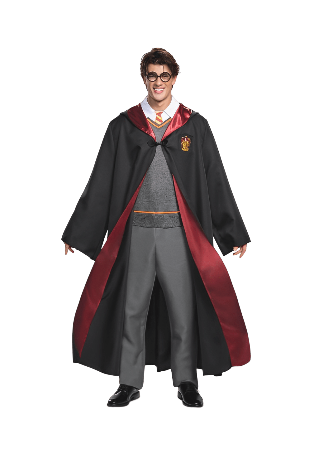 Harry Potter deluxe adult